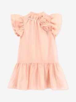 Girls Loreen Flowers Dress In Pink