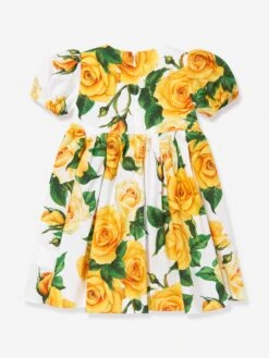 Baby Girls Rose Print Dress In Multicolour 8 Baby Girls Rose Print Dress In Multicolour -Monna Clothing Shop DAGS4073 MULTICOLOURED 3