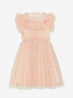 Girls Embroidered Tulle Dress