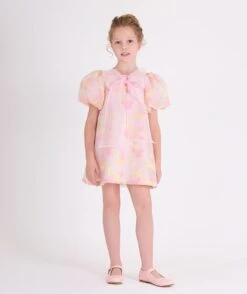 Girls Balloon Sleeve Jacquard Organza Dress In Pink -Monna Clothing Shop G24Y60317