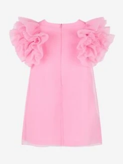 Girls Organza Ruffle Sleeve Dress In Pink -Monna Clothing Shop MAMS4017 PINK 2