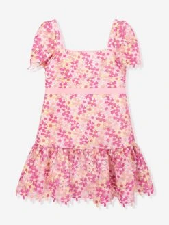 Girls Pixie Embroidered Dress In Multicolour