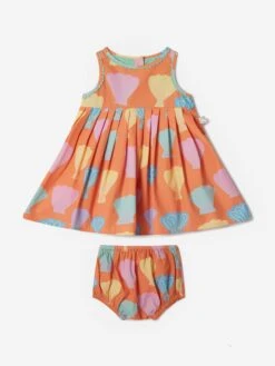 Baby Girls Shell Dress With Knickers In Orange